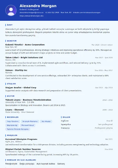Financial Analyst CV Şablonu