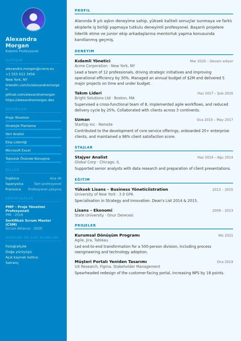 Flight Attendant CV Şablonu