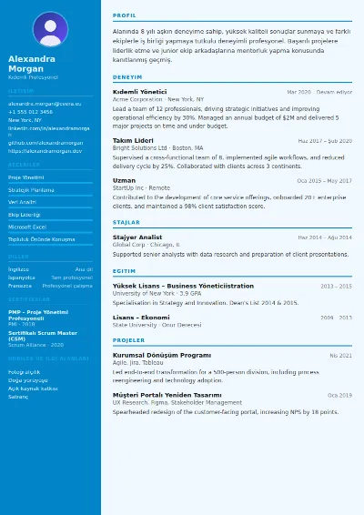Flight Attendant CV Şablonu