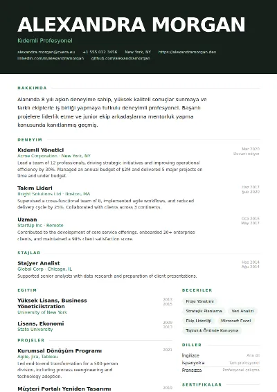 Headline CV Şablonu