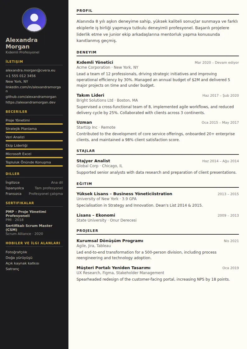 Hotel Manager CV Şablonu