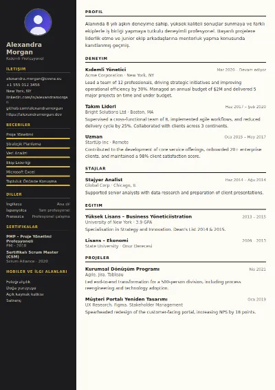 Hotel Manager CV Şablonu