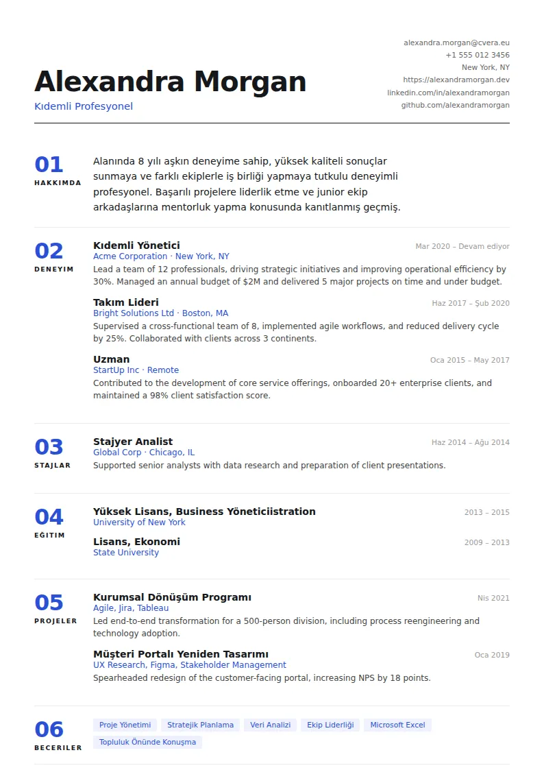 Index CV Şablonu