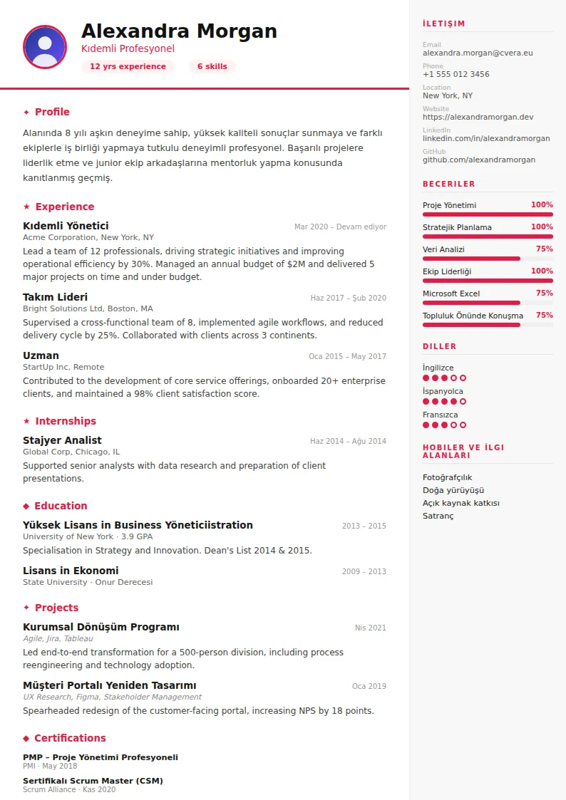 Infographic CV Şablonu