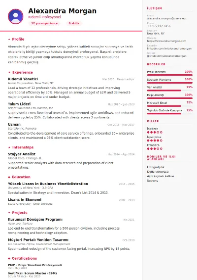 Infographic CV Şablonu