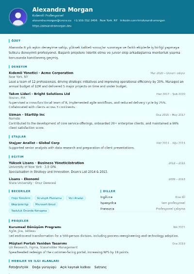 IT Support CV Şablonu