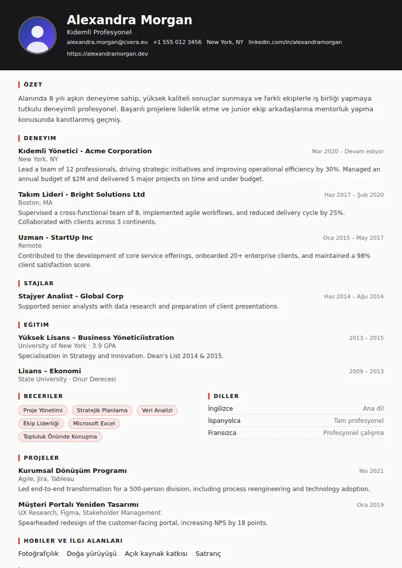 Journalist CV Şablonu