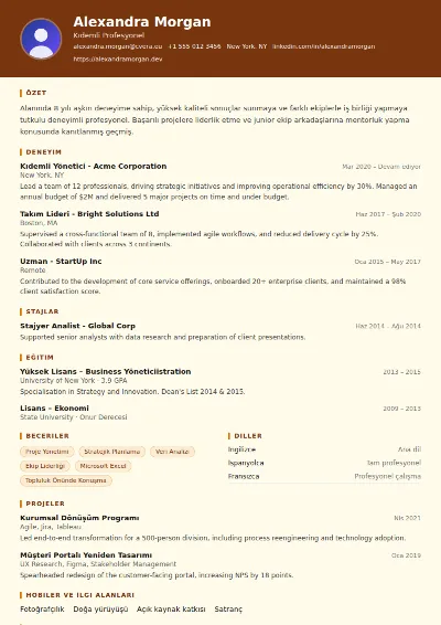 Librarian CV Şablonu