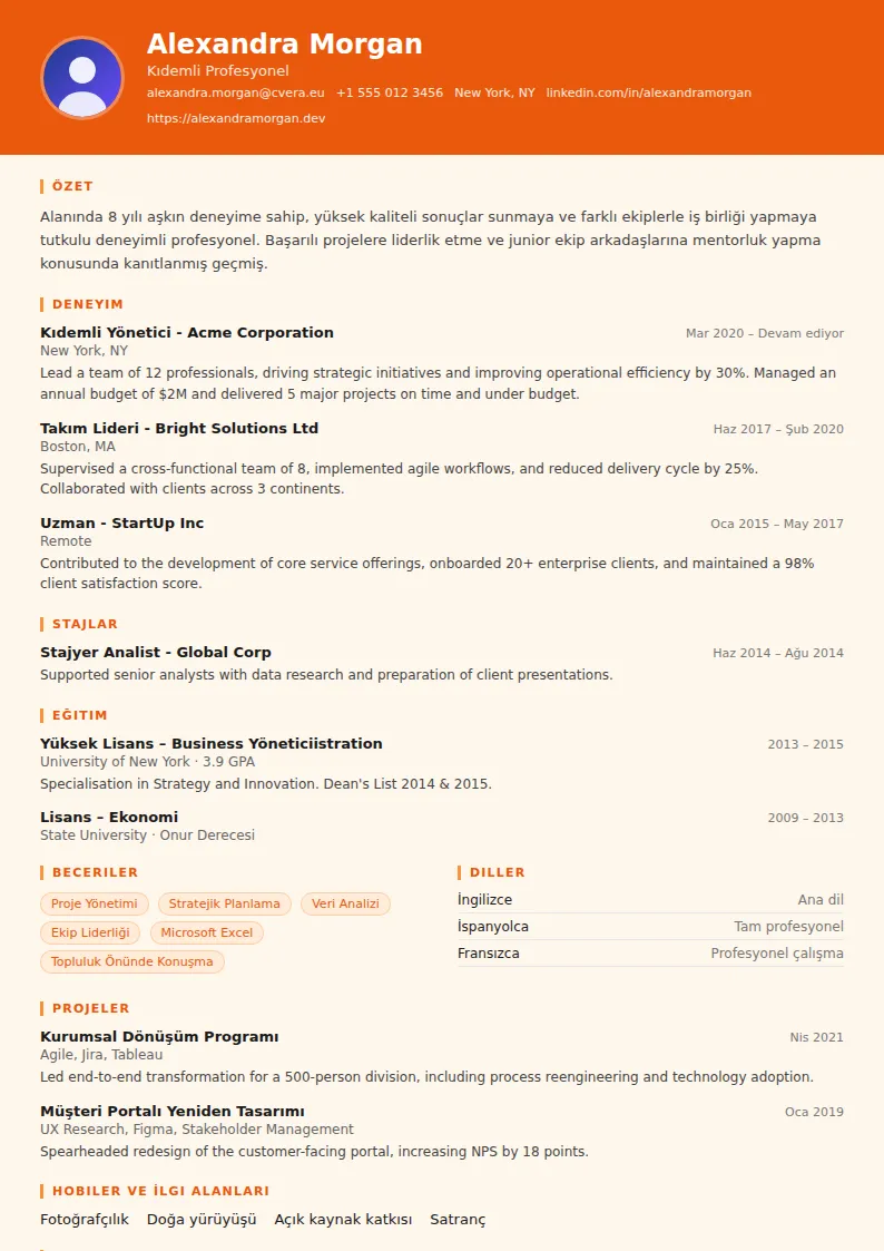 Logistics CV Şablonu