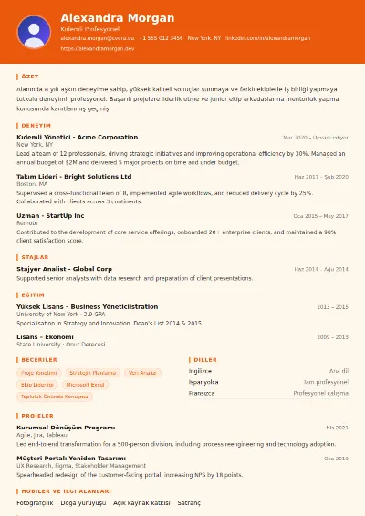Logistics CV Şablonu