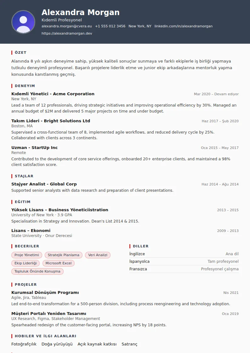 Mechanic CV Şablonu
