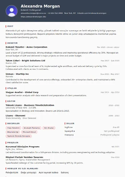 Mechanic CV Şablonu