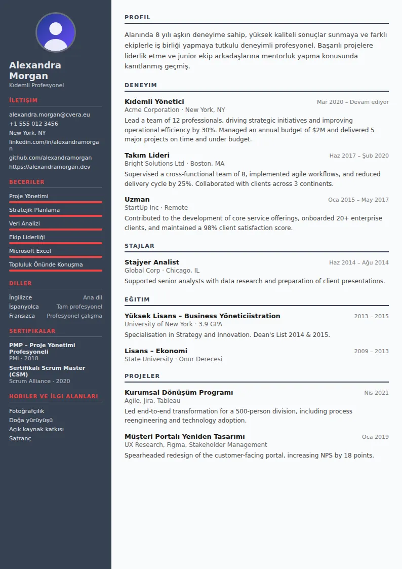 Mechanical Engineer CV Şablonu