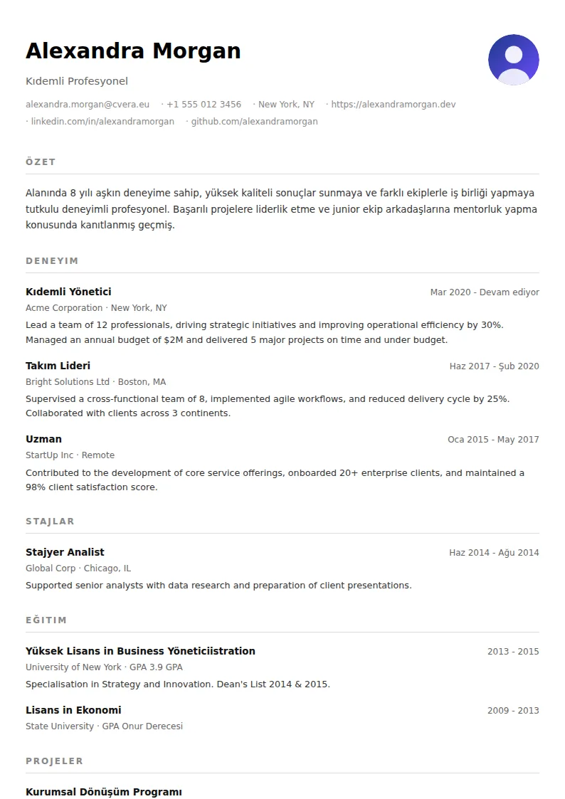 Minimalist CV Şablonu