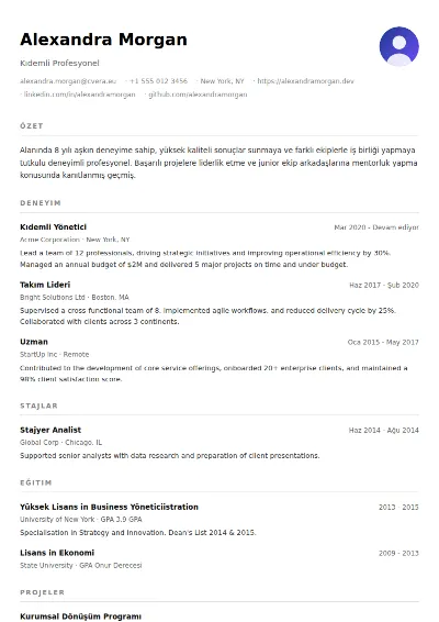 Minimalist CV Şablonu