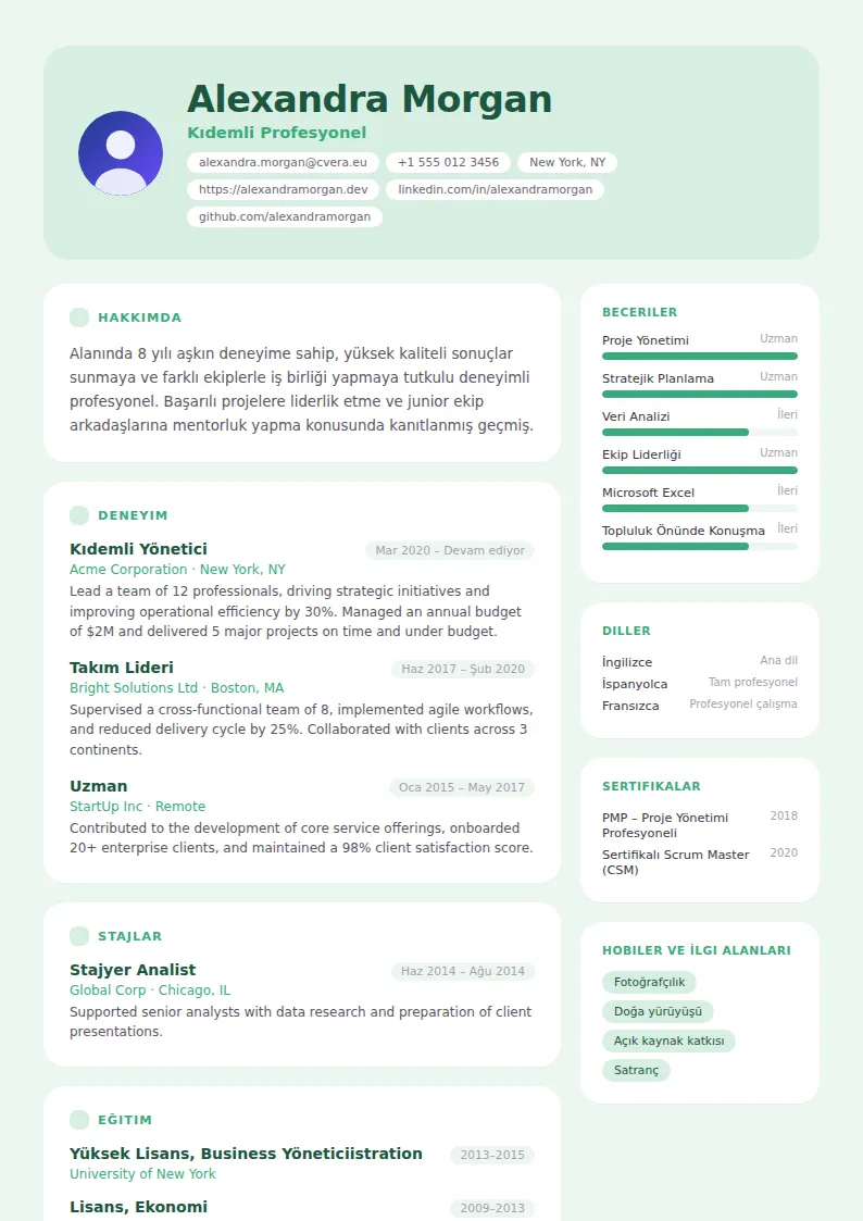 Mint CV Şablonu