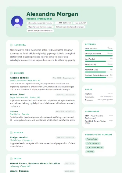 Mint CV Şablonu