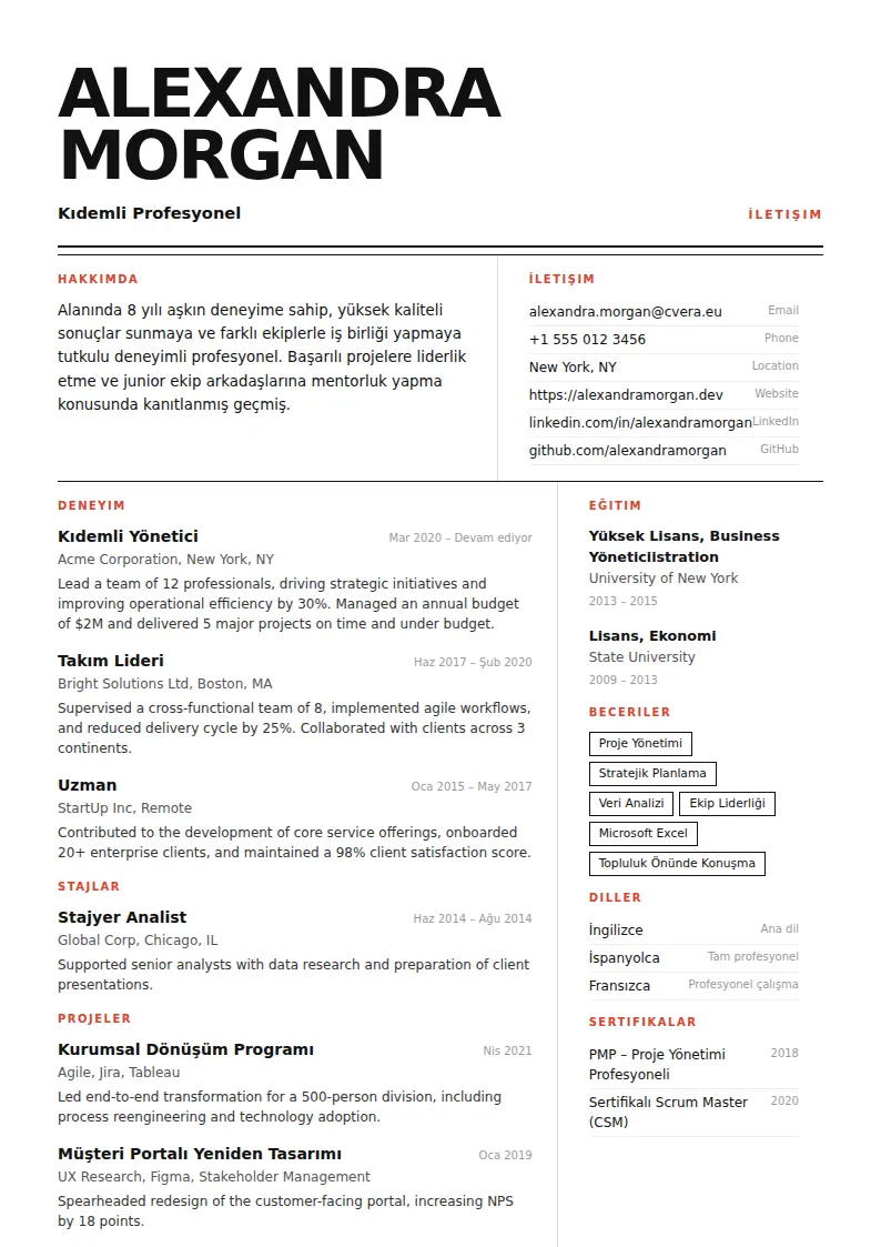 Monolith CV Şablonu
