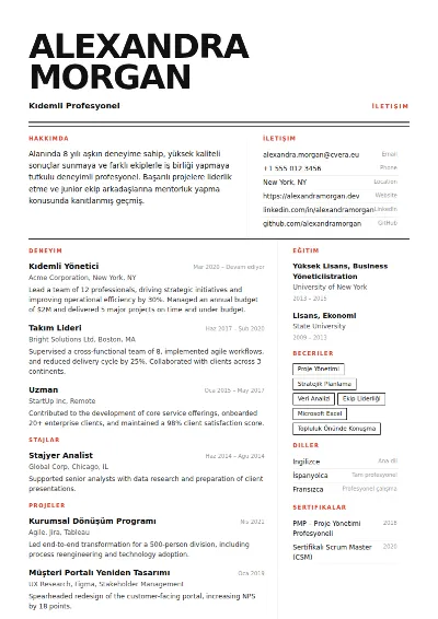 Monolith CV Şablonu