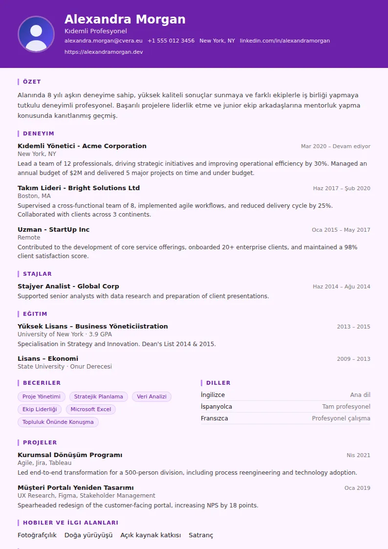 Musician CV Şablonu