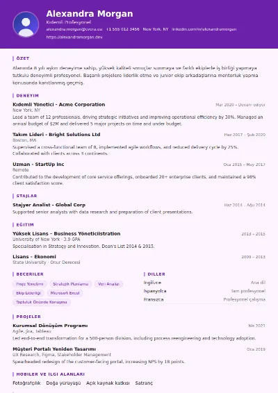 Musician CV Şablonu