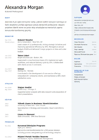 Nordic CV Şablonu