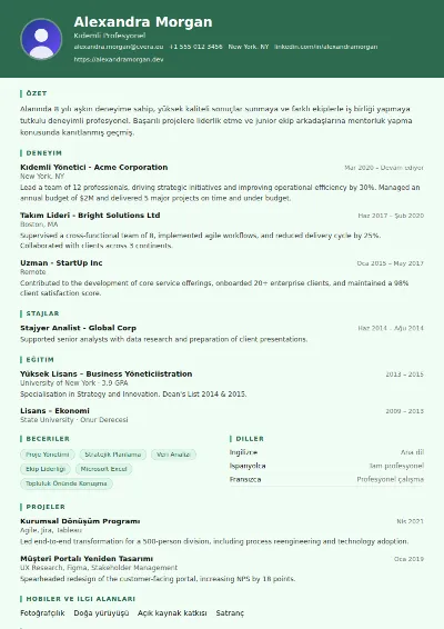 Nurse CV Şablonu