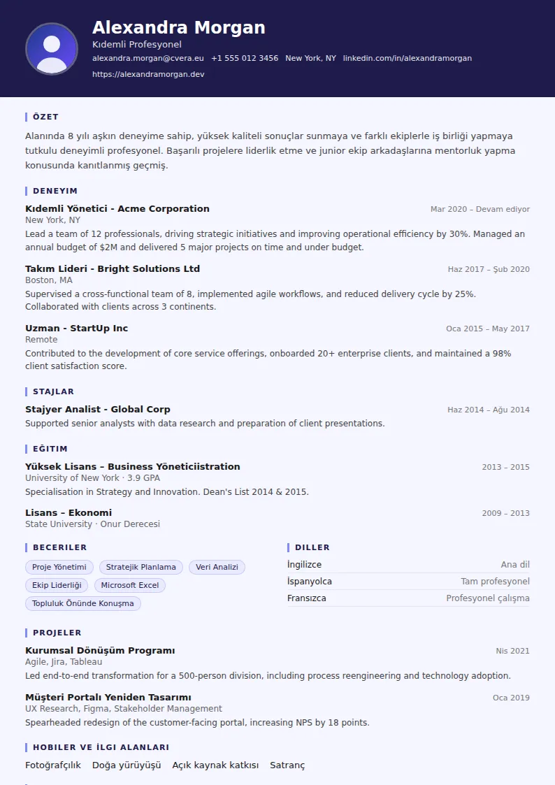 Professor CV Şablonu