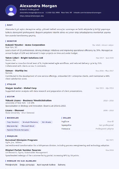 Professor CV Şablonu