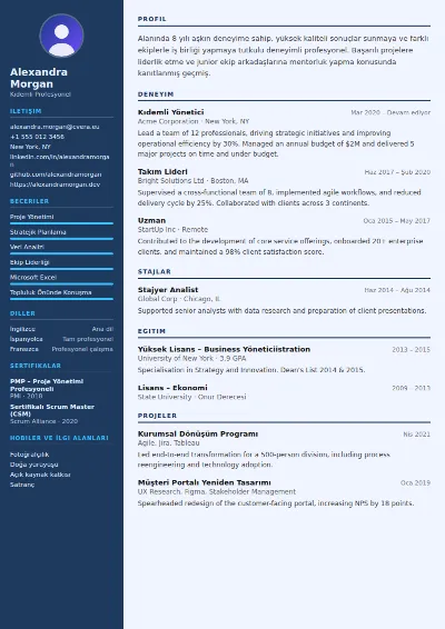 Radiologist CV Şablonu