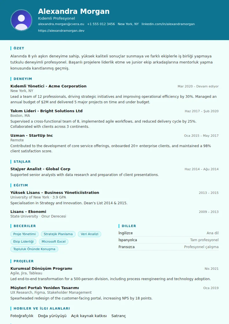 Scientist CV Şablonu