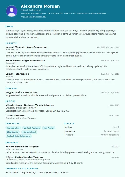 Scientist CV Şablonu