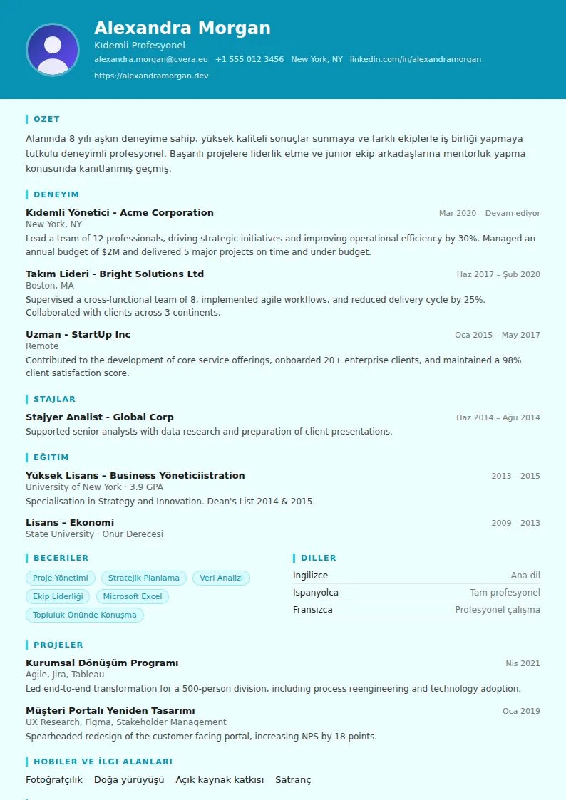 Social Worker CV Şablonu