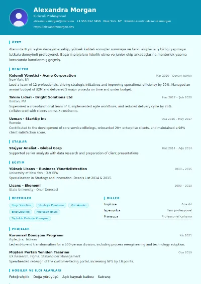 Social Worker CV Şablonu