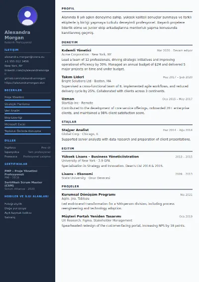 Software Engineer CV Şablonu