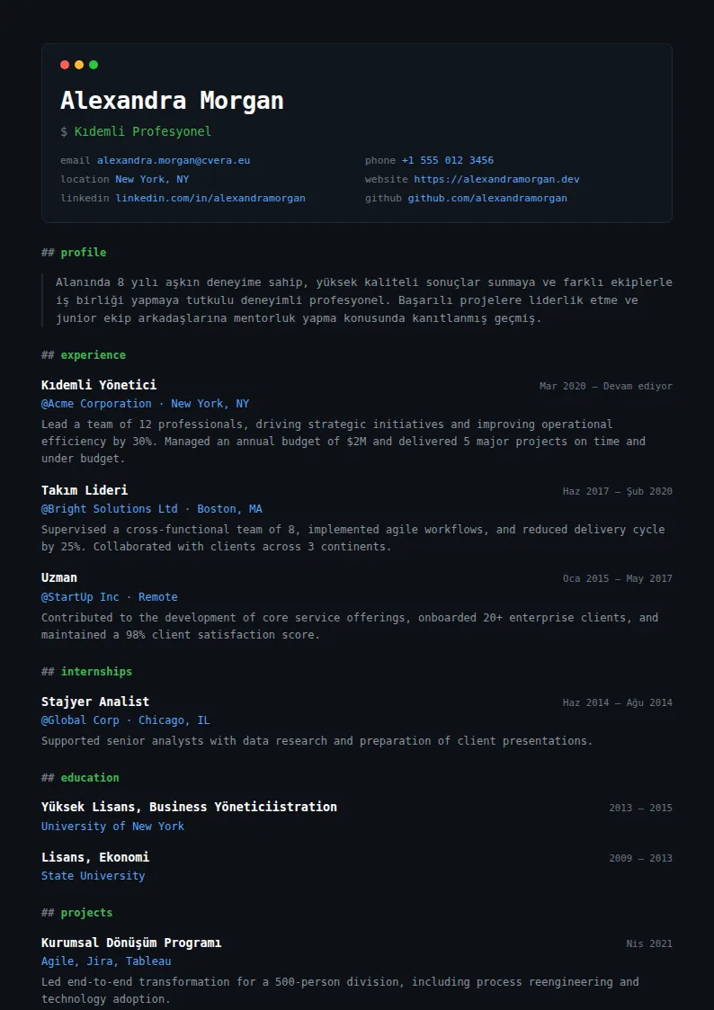 Terminal CV Şablonu