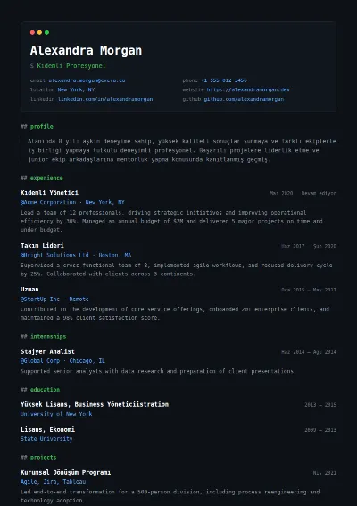 Terminal CV Şablonu