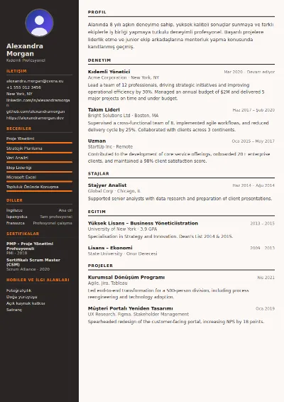 Welder CV Şablonu